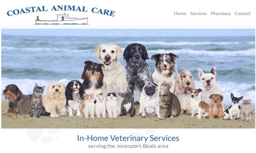 Screenshot of Coastal Animal Care website main page